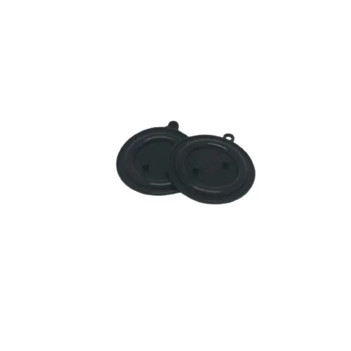 [GWH-023] Membrane Diaphragme  ENIEM