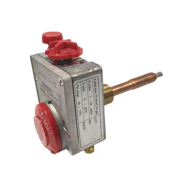 Thermocouple 900mm Avec Ecrou M8